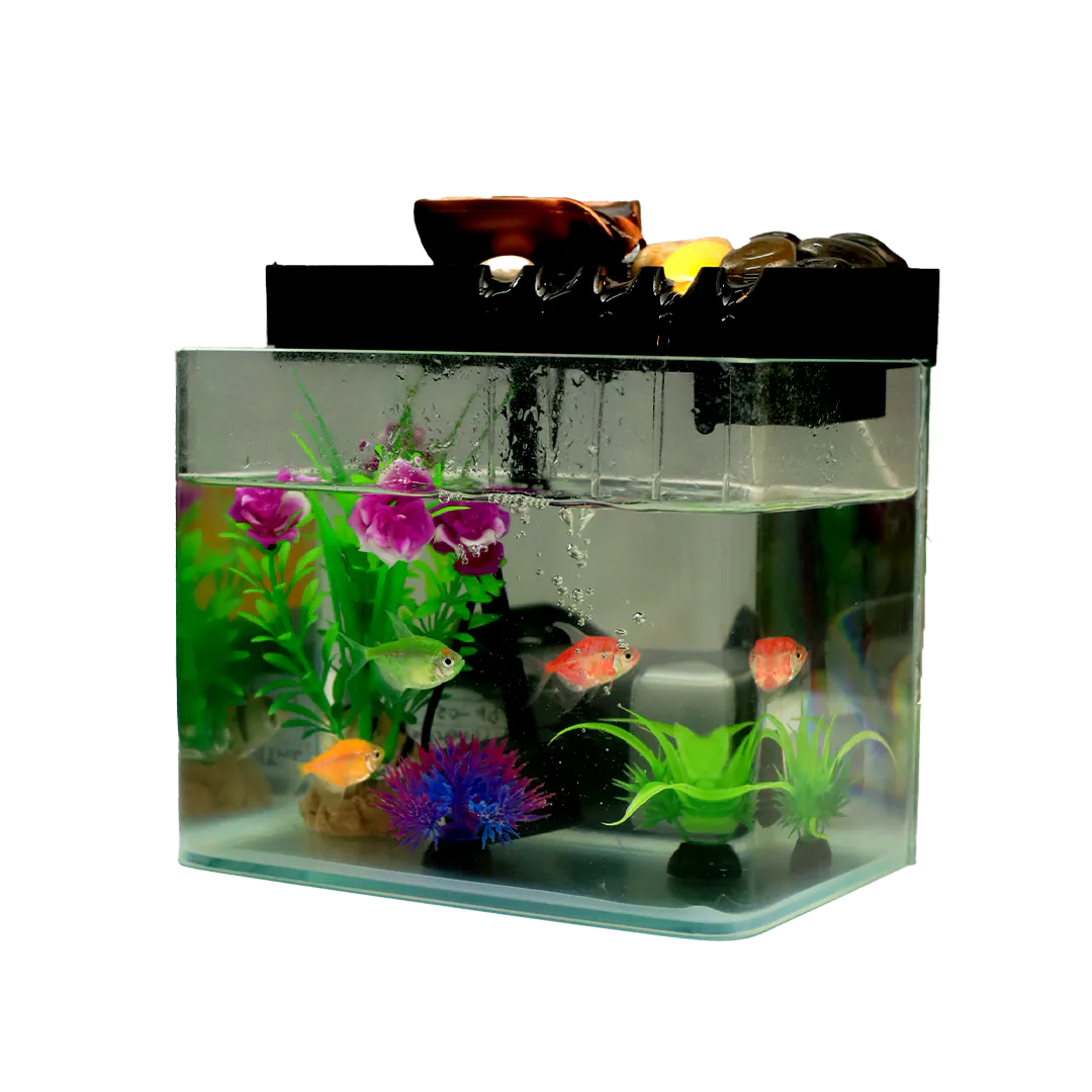 Fish Aquarium | Mini Fish Tank with LED Light thumbnail 4